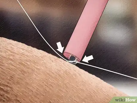 Image titled Remove a Tick from a Horse Step 7