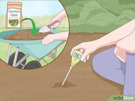 Image titled Improve Soil Step 20