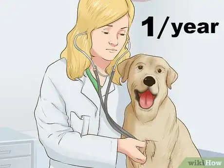 Image titled Provide Preventive Veterinary Care for Your Dog Step 1