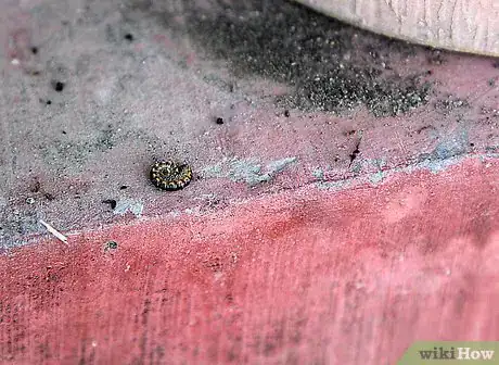 Image titled Care for Flowers Step 17