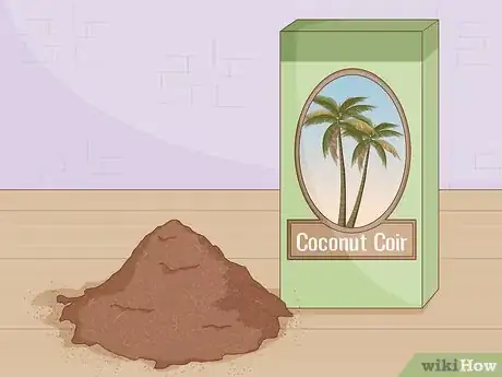 Image titled Grow Wheatgrass Without Soil Step 5