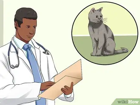 Image titled Diagnose Feline Retinal Disease Step 7
