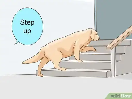 Image titled Train a Blind Dog to Handle the Stairs Step 7