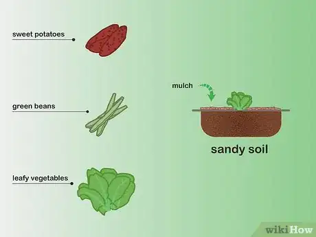 Image titled Choose Vegetables to Grow Step 08
