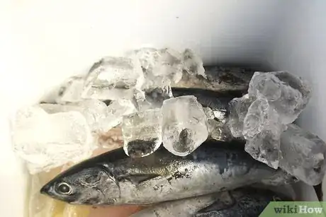 Image titled Store Seafood Step 6
