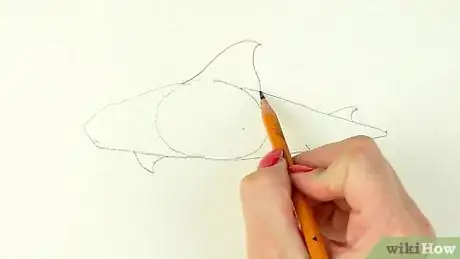 Image titled Draw a Shark Step 24
