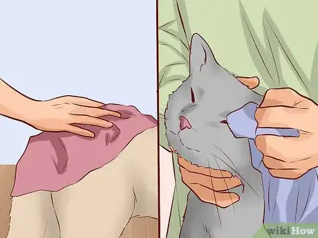 Image titled Introduce Dogs to Cats Step 10