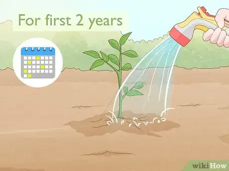 Image titled Grow and Care for Peonies Step 15