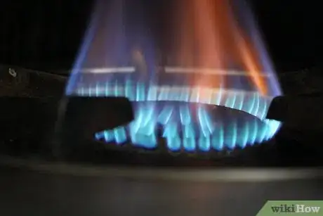 Image titled Grill Lobster Tails on a Gas Grill Step 3