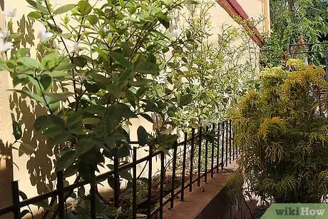 Image titled Care for Flowers Step 18