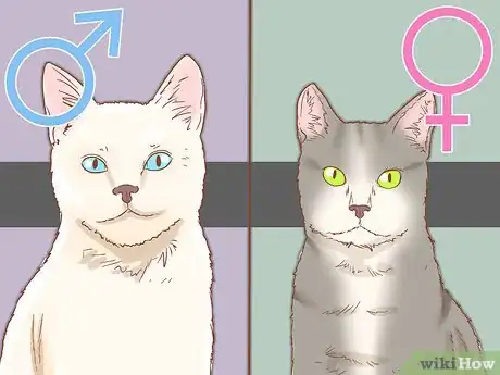 Image titled Find the Right Cat Breed for You Step 4