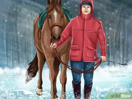 Image titled Exercise Horses in Cold Weather Step 2