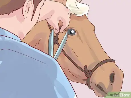 Image titled 763229 22