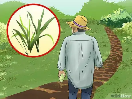 Image titled Pull Weeds Step 7