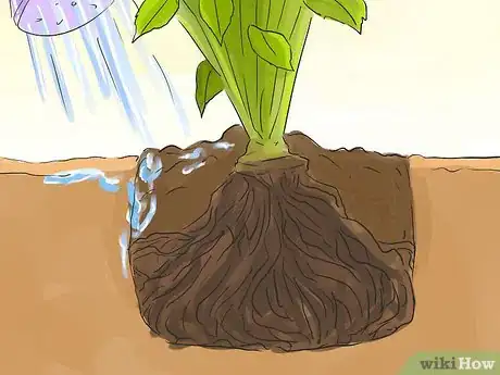 Image titled Make a Small Vegetable Garden Step 5