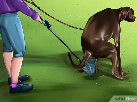 Image titled Housebreak a Dog with Positive Reinforcement Step 12