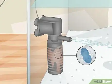 Image titled Take Care of Your Fish Step 2