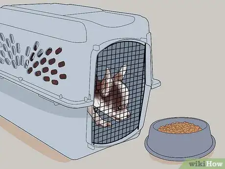 Image titled Fly Internationally With a Dog Step 17