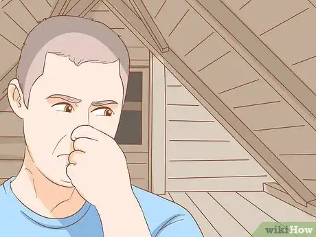 Image titled Prevent a Rat Infestation Step 12