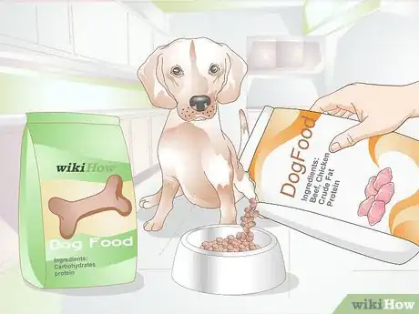 Image titled Put Your Dog on a Limited Ingredient Diet Step 5