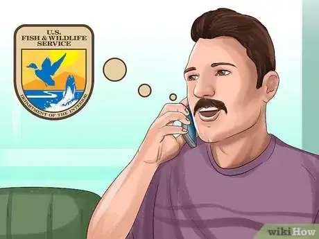 Image titled Catch Weasels Step 1