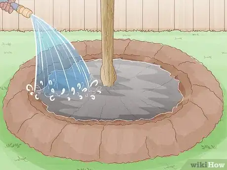 Image titled Grow Mandarin Trees Step 21