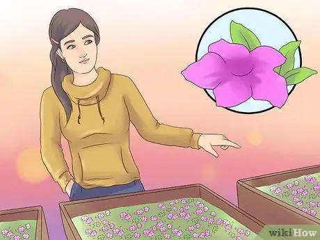 Image titled Grow Petunias Step 1