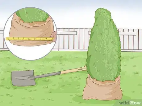Image titled Plant a Shrub Step 3