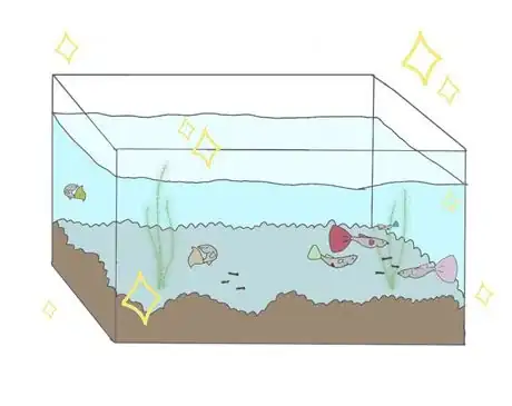 Image titled Types of bottom feeders734568234555568