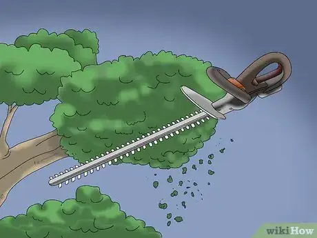 Image titled Prune a Juniper Tree Step 2