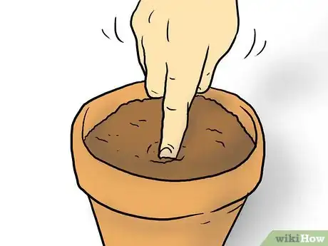 Image titled Plant Plumeria Seeds Step 4