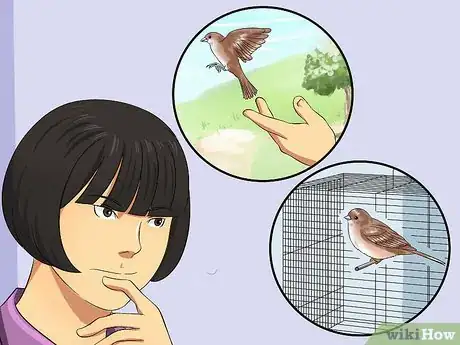 Image titled Care for an Injured Wild Bird That Cannot Fly Step 17