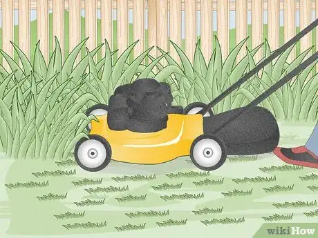 Image titled Keep Spiders Away Step 2