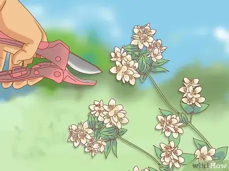 Image titled Prune Jasmine Step 1