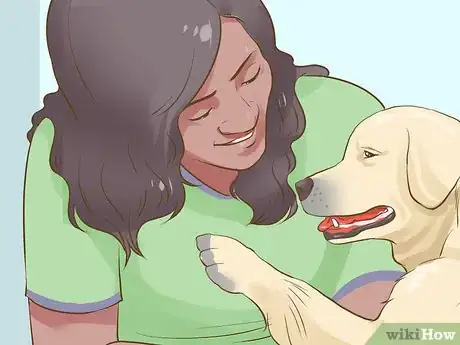 Image titled Get a Companion Dog for an Existing Dog Step 1