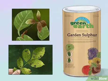 Image titled Buy Organic Fungicides Step 06