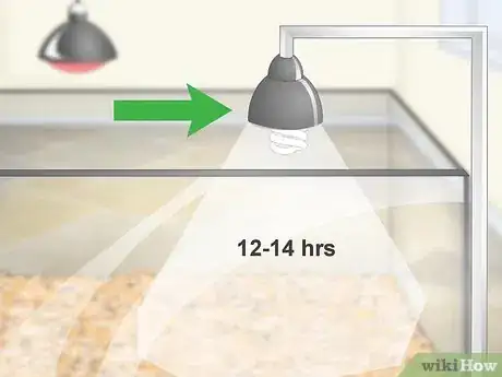 Image titled Care for a Tokay Gecko Step 6