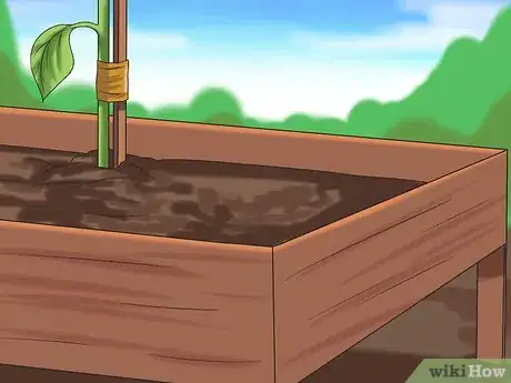 Image titled Grow Sunflowers Step 13