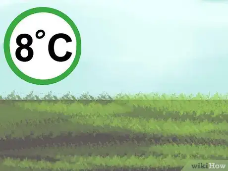 Image titled Maintain Horse Paddocks Step 7