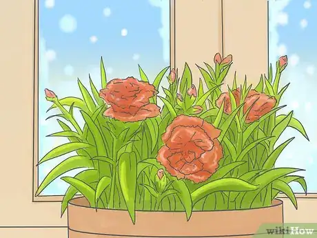 Image titled Pinch Carnations Step 6