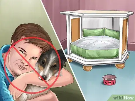 Image titled Care for a Rescued Dog Step 3