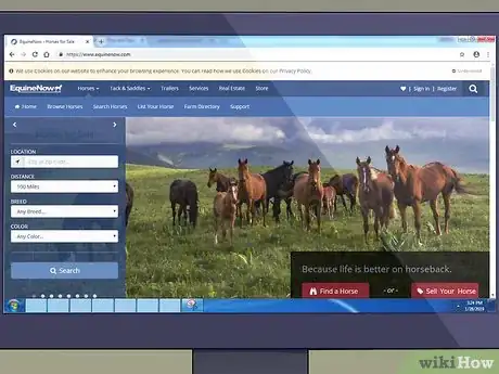 Image titled Find and Train a Barrel Horse Step 2