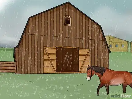 Image titled Prevent Rain Rot in Horses Step 1