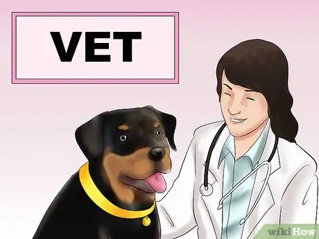 Image titled Know if You Can Care for a Rottweiler Step 7