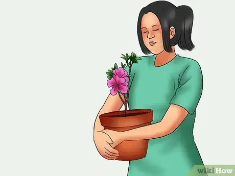 Image titled Care for Azaleas Step 16