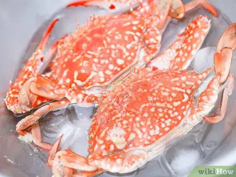 Image titled Boil Crab Step 10