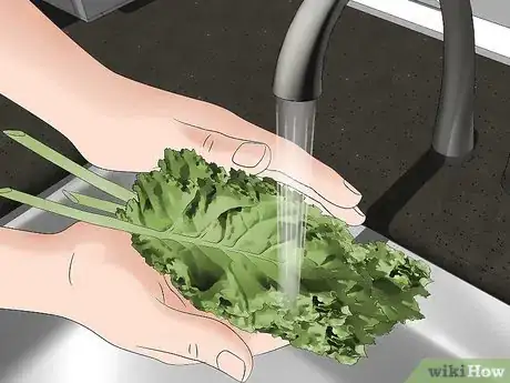 Image titled Clean Kale Step 1