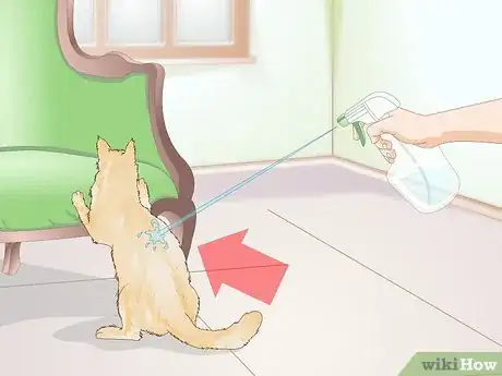 Image titled Use a Spray Bottle on a Cat for Training Step 3