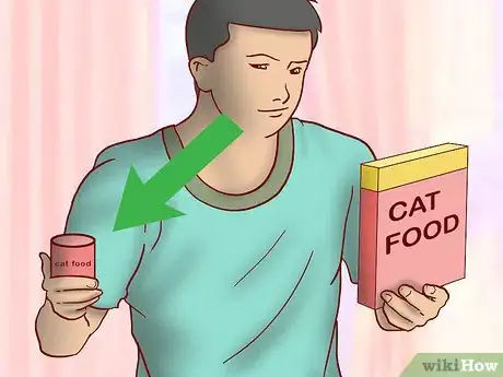 Image titled Get an Overweight Senior Cat to Lose Weight Step 3