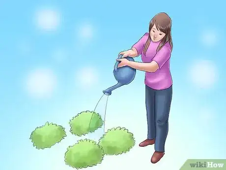 Image titled Plant Evergreen Shrubs Step 14